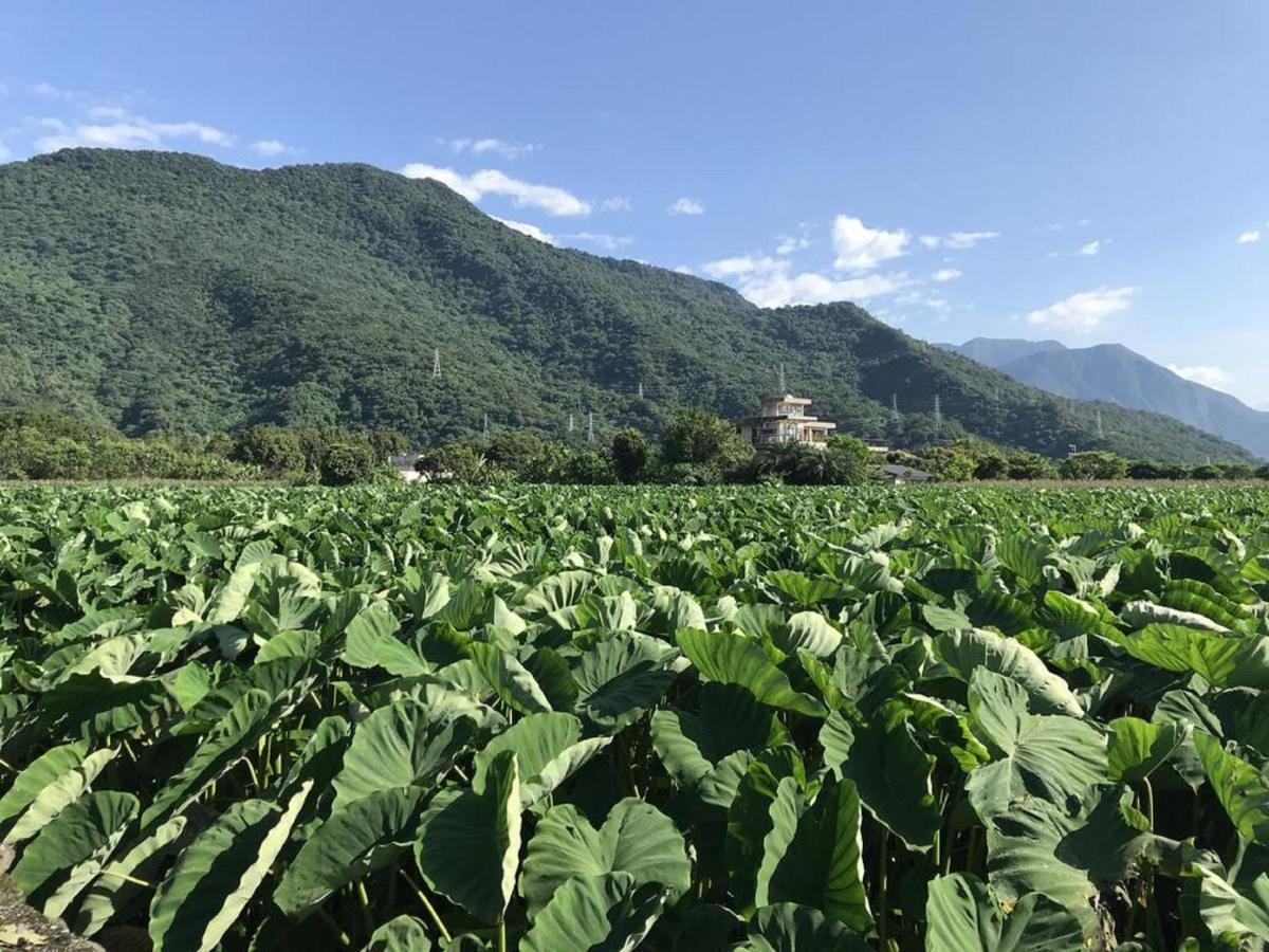 花蓮金澤居民宿樹窩民宿御安居民宿寵物友善 Ji'an Exterior photo
